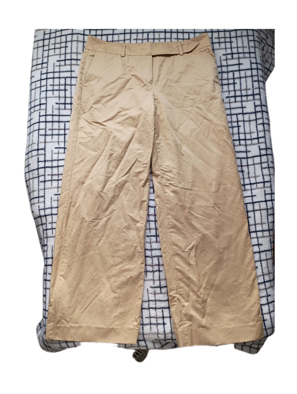 $32 FINAL Worth Mid Rise Size 10 Tan Sheen Look Dress Pants -Dry Clean Only NWOT